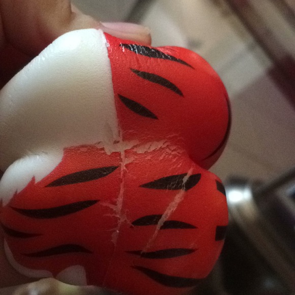 Tiger - Picture 8 of 8